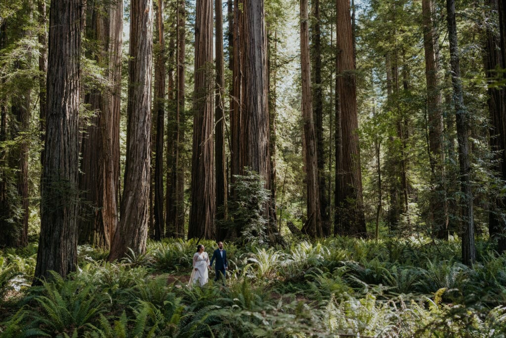 a bride and groom walking through the woods