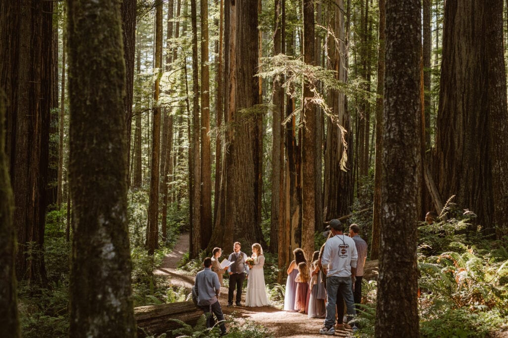 a group of people standing in the middle of a forest