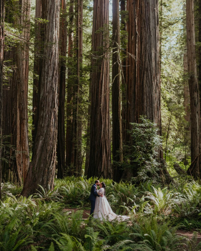 a bride and groom standing in the middle of a forest