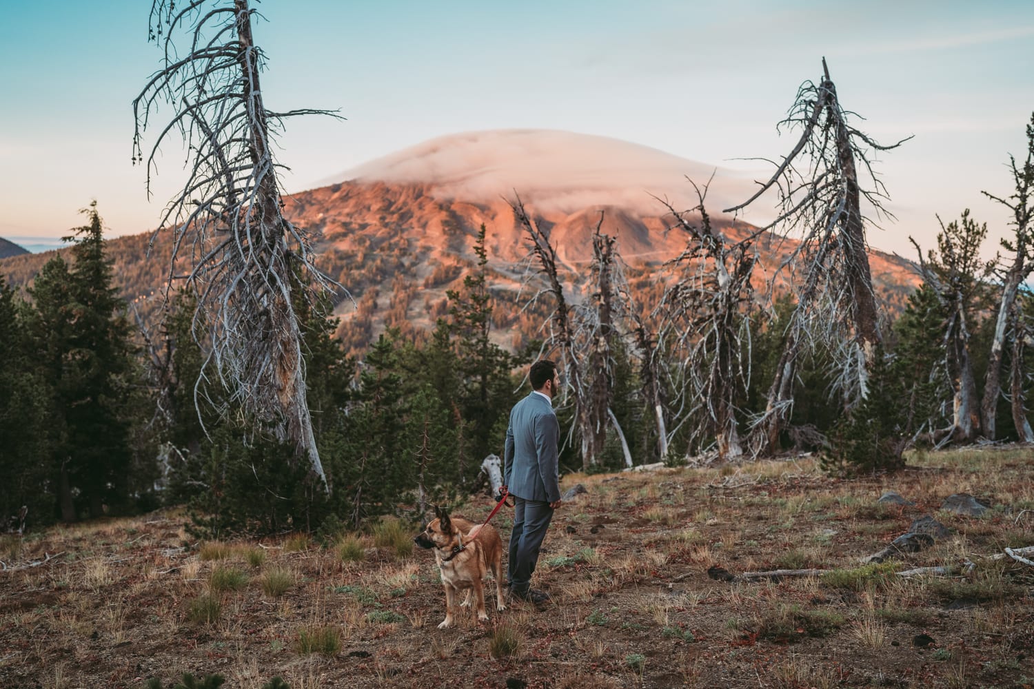 a man and his dog are walking in the mountains